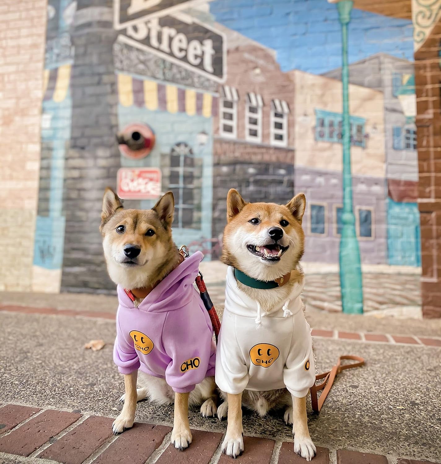 Smiley Dog Hoodie Stylish Dog Clothes Smiley Face Sweater Cotton Sweatshirt Fashion Outfit for Dogs Cats Puppy Small Medium Large (M, Purple)