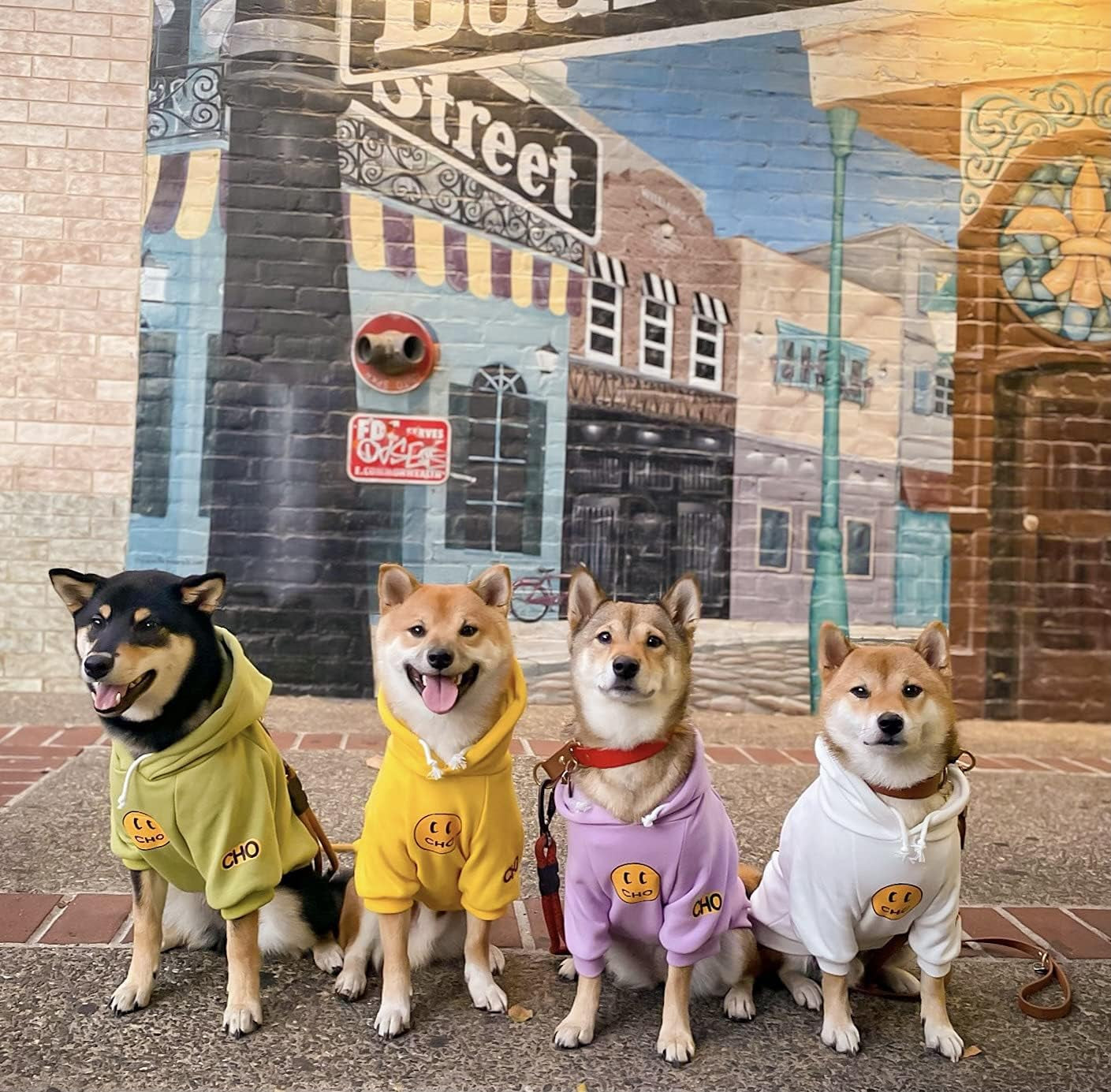Smiley Dog Hoodie Stylish Dog Clothes Smiley Face Sweater Cotton Sweatshirt Fashion Outfit for Dogs Cats Puppy Small Medium Large (M, Purple)