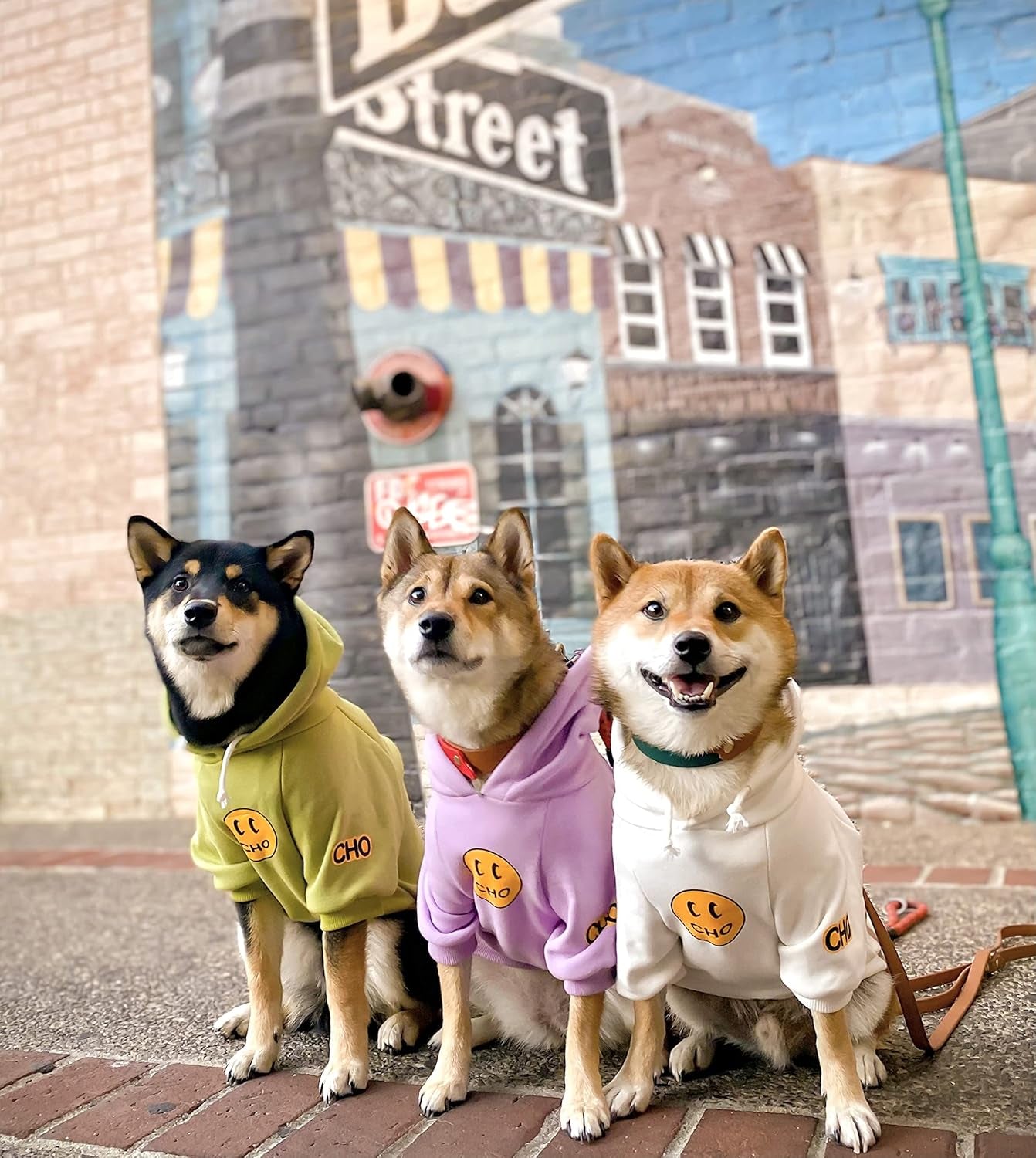 Smiley Dog Hoodie Stylish Dog Clothes Smiley Face Sweater Cotton Sweatshirt Fashion Outfit for Dogs Cats Puppy Small Medium Large (M, Purple)