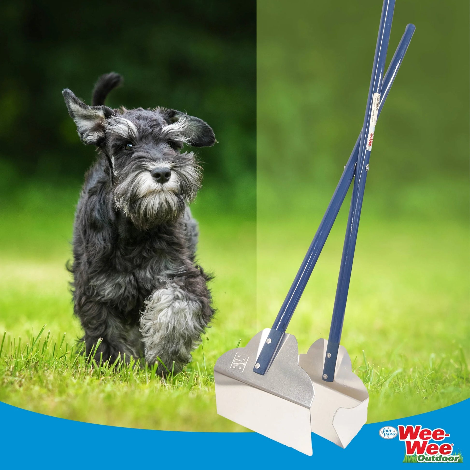 Dog Rake Sanitary Pooper Scooper (1 Count)