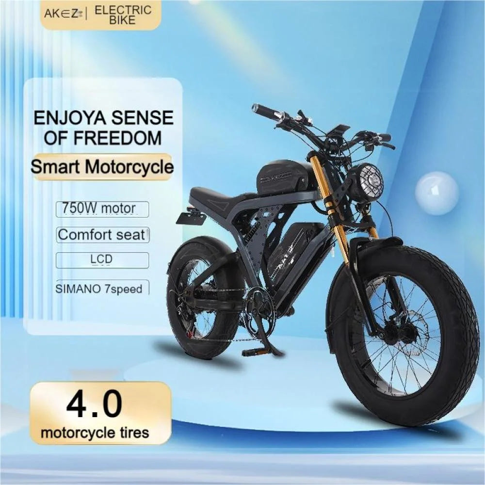 Kingkong Ebike for Adults, Strong Power Brushless Motor, 48V 41Ah Removable Battery, 20" Fat Tire, Dual Suspension, 7 Speed Gears for Beach Camping