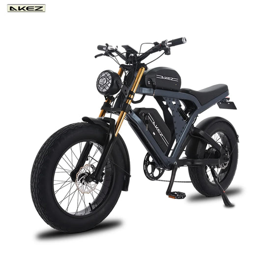 Kingkong Ebike for Adults, Strong Power Brushless Motor, 48V 41Ah Removable Battery, 20" Fat Tire, Dual Suspension, 7 Speed Gears for Beach Camping